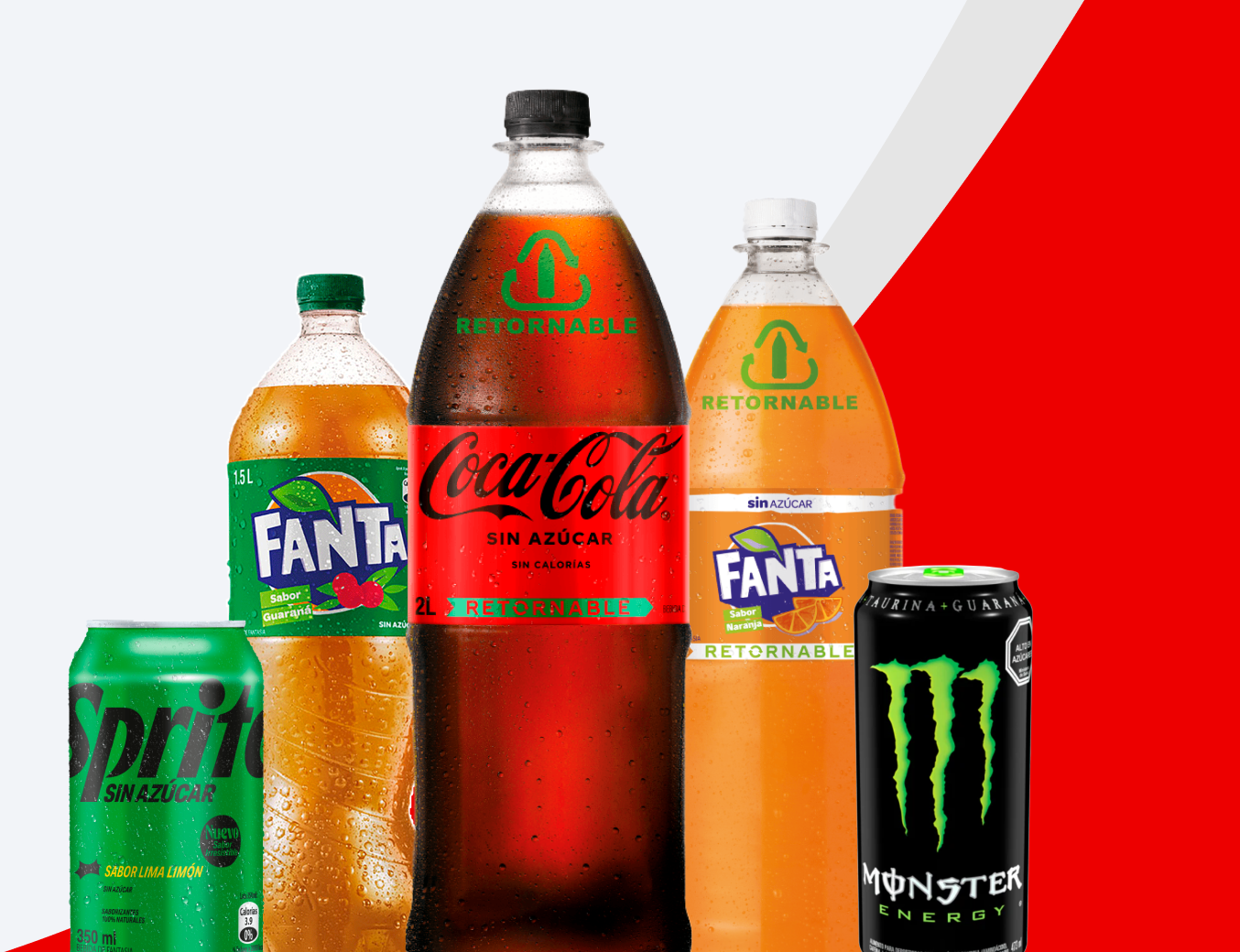 Inicial Pagina Coca Cola Andina